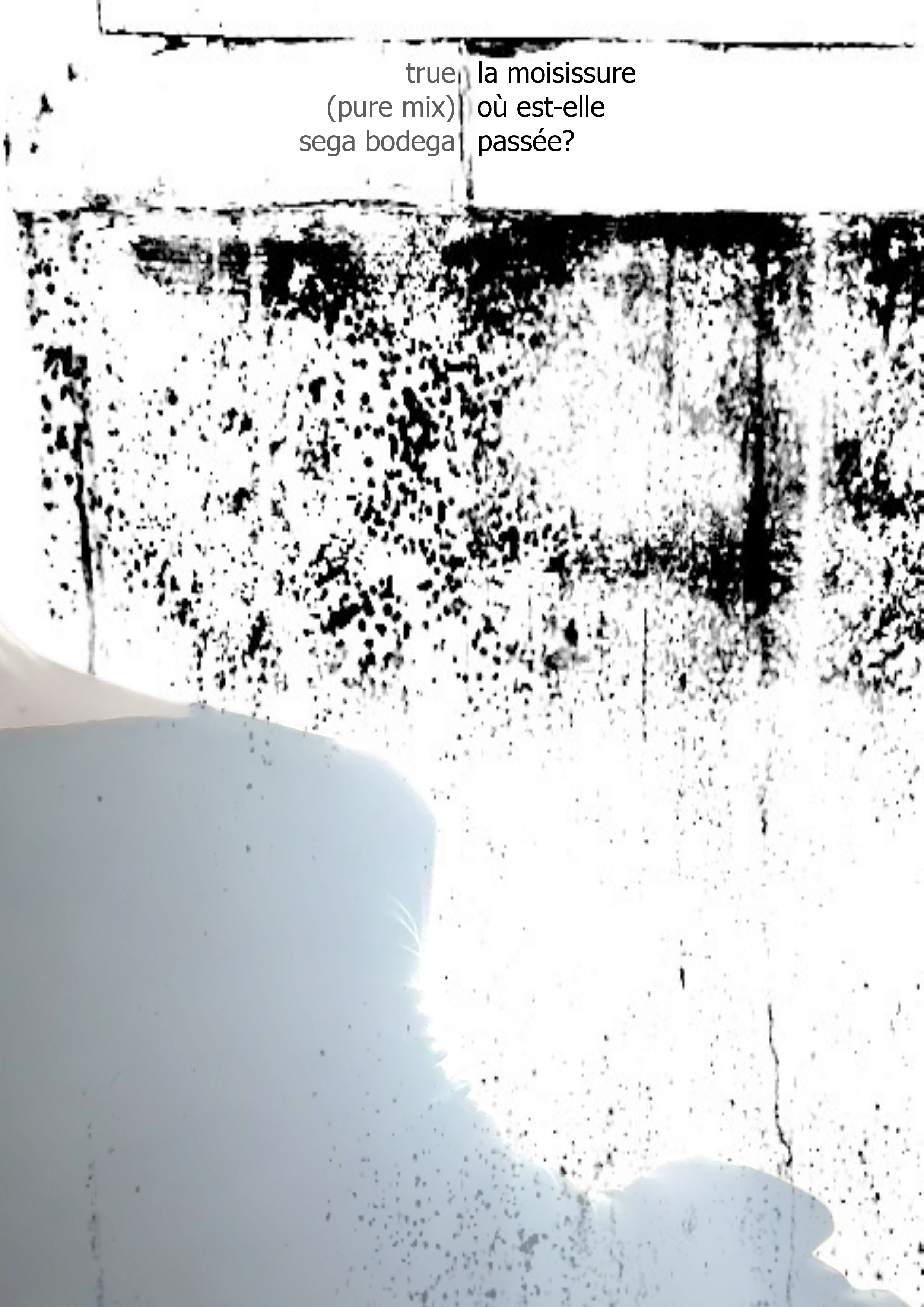 Première page du PDF